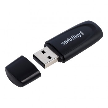 USB 2.0 накопитель SmartBuy 004GB Scout Black (SB004GB2SCK)